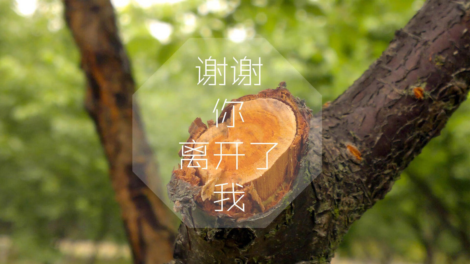 雄鹿前锋获评最佳新秀 步入联盟光芒照人，雄鹿的小前锋