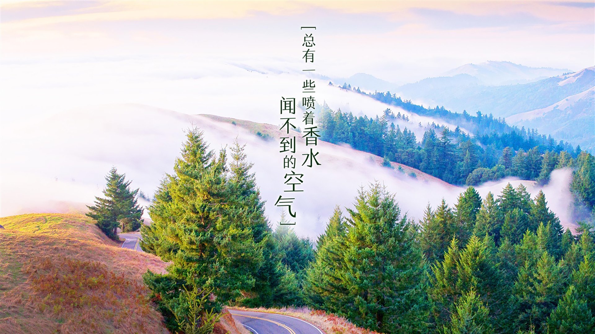 爱游戏体育app-“沙滩手球激战正酣，天府新区迎来激情四溢”