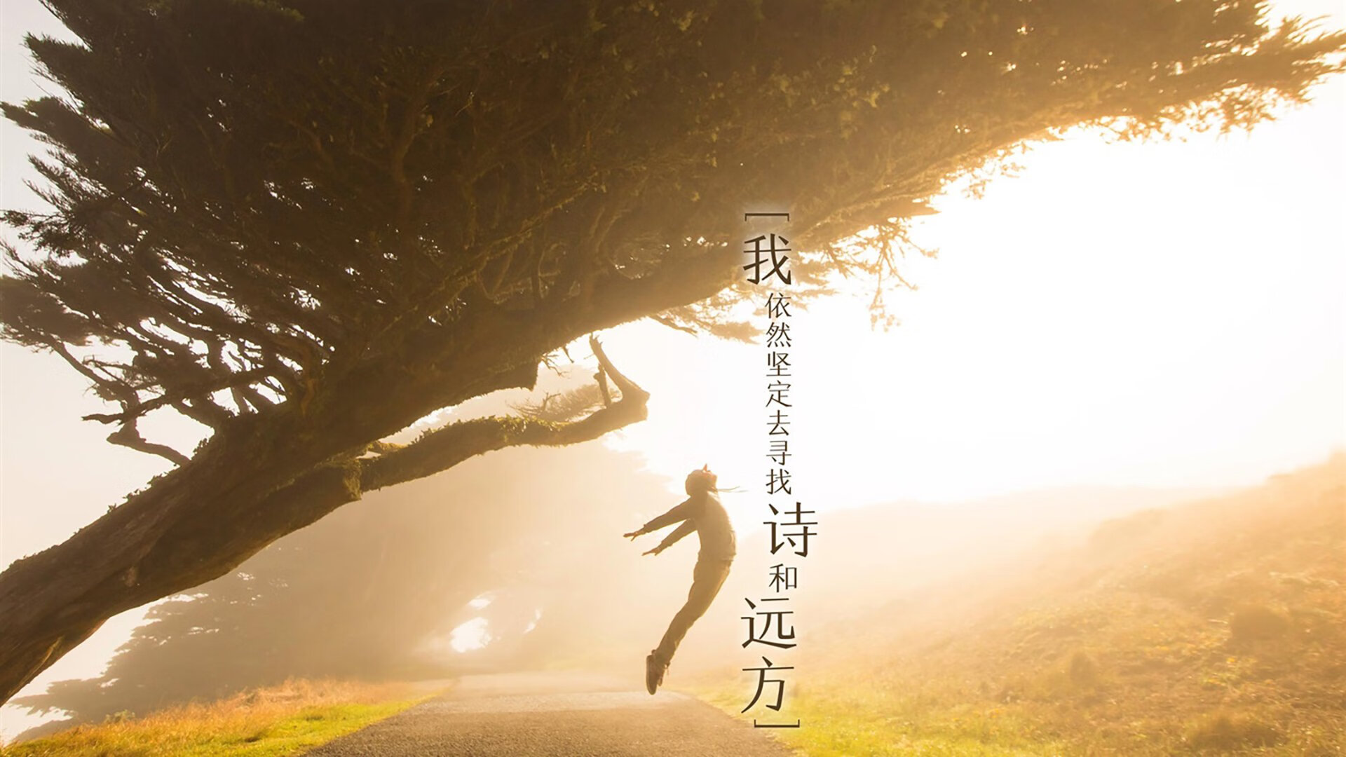 大连一方球员在比赛中发挥出色，展现实力，大连一方球迷贴吧