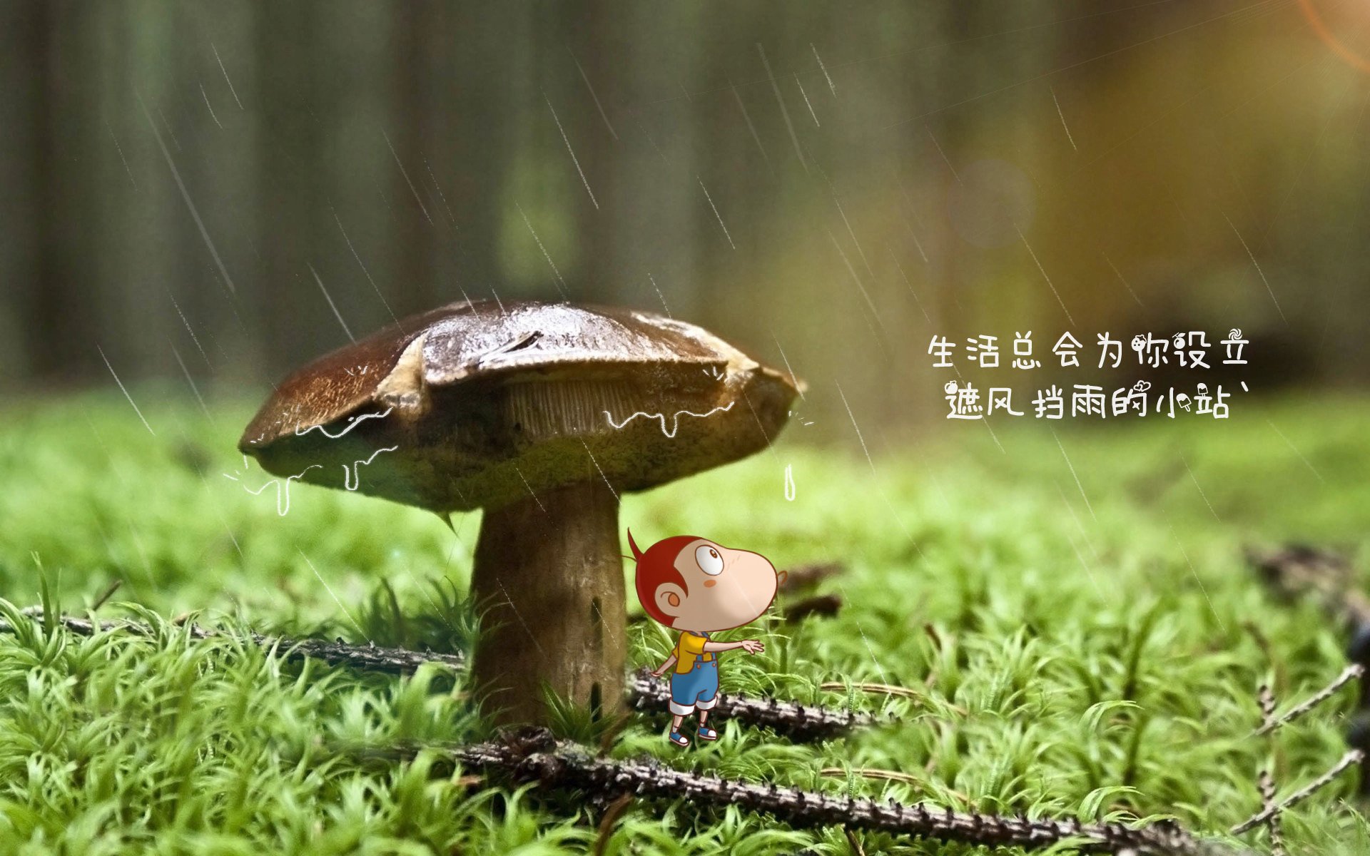 橄榄球志愿服务体系逐步完善，橄榄球专项运动员能上哪些大学
