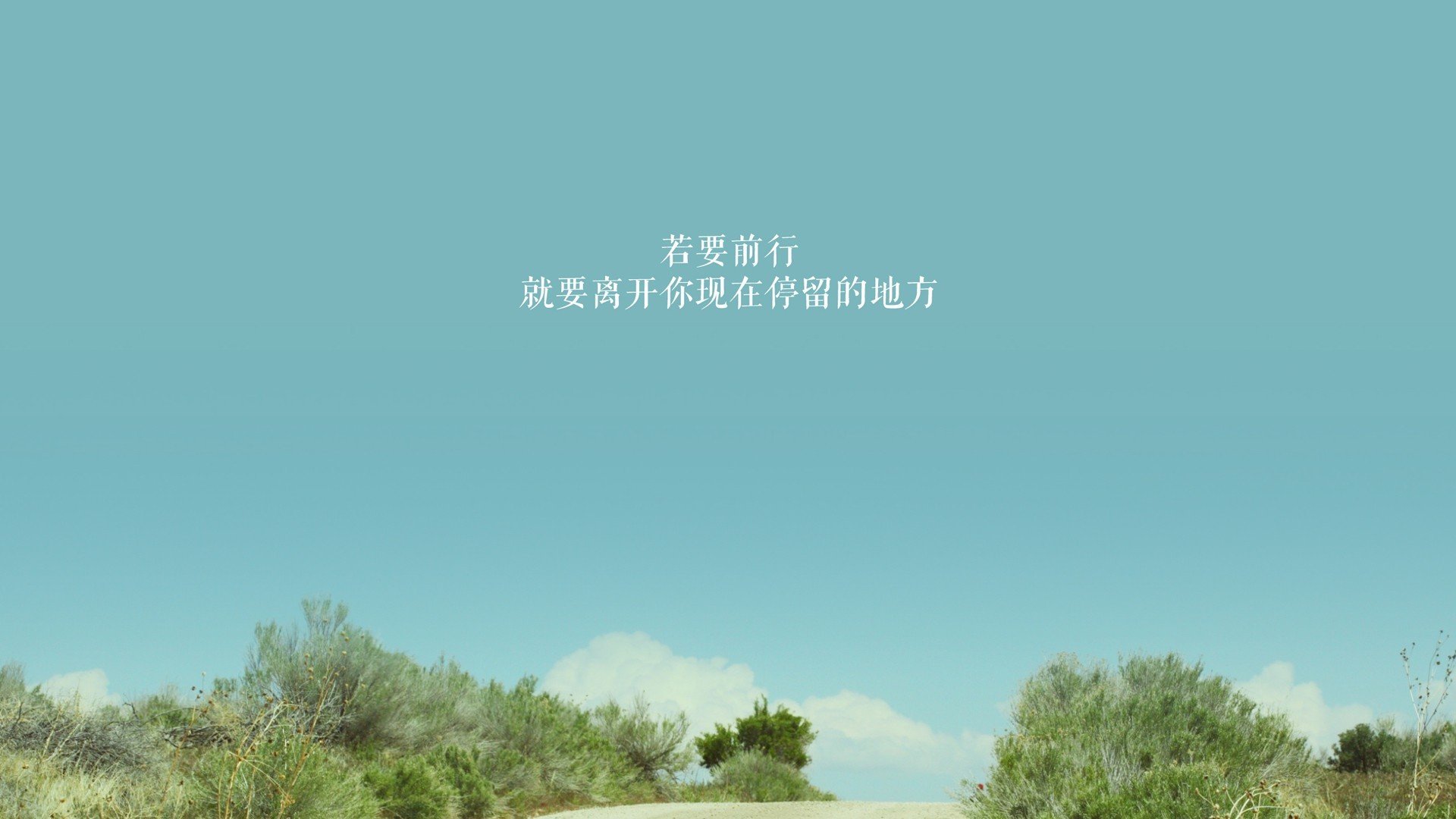 AYX体育官网-跳水稳定输出波兰锁定奖牌希望，bondar跳水