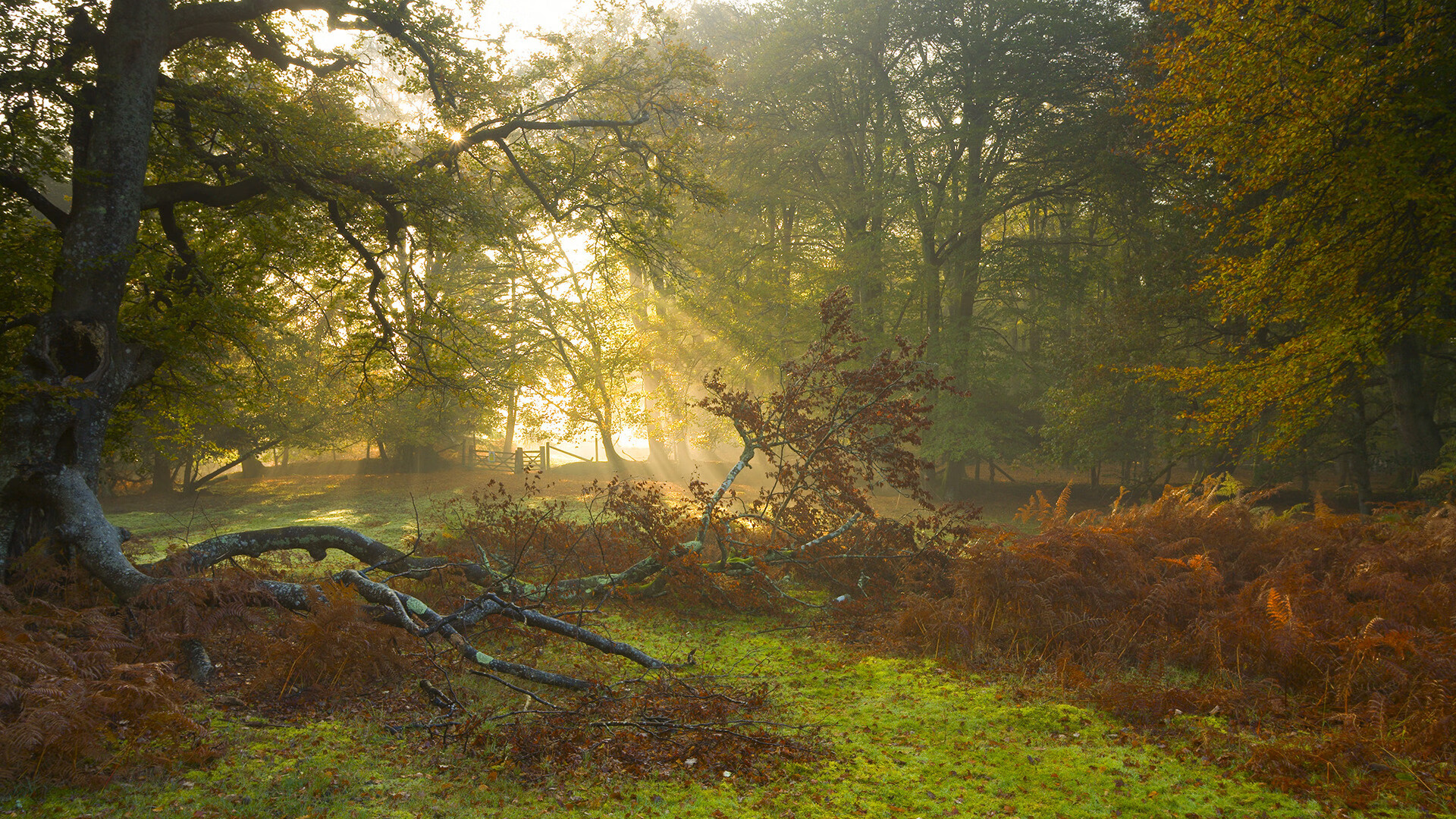 爱游戏体育（AYX）官方APP下载-中国香港队如何利用混合团体赛制在国际乒联世界杯中突出重围，香港乒乓球混双名单