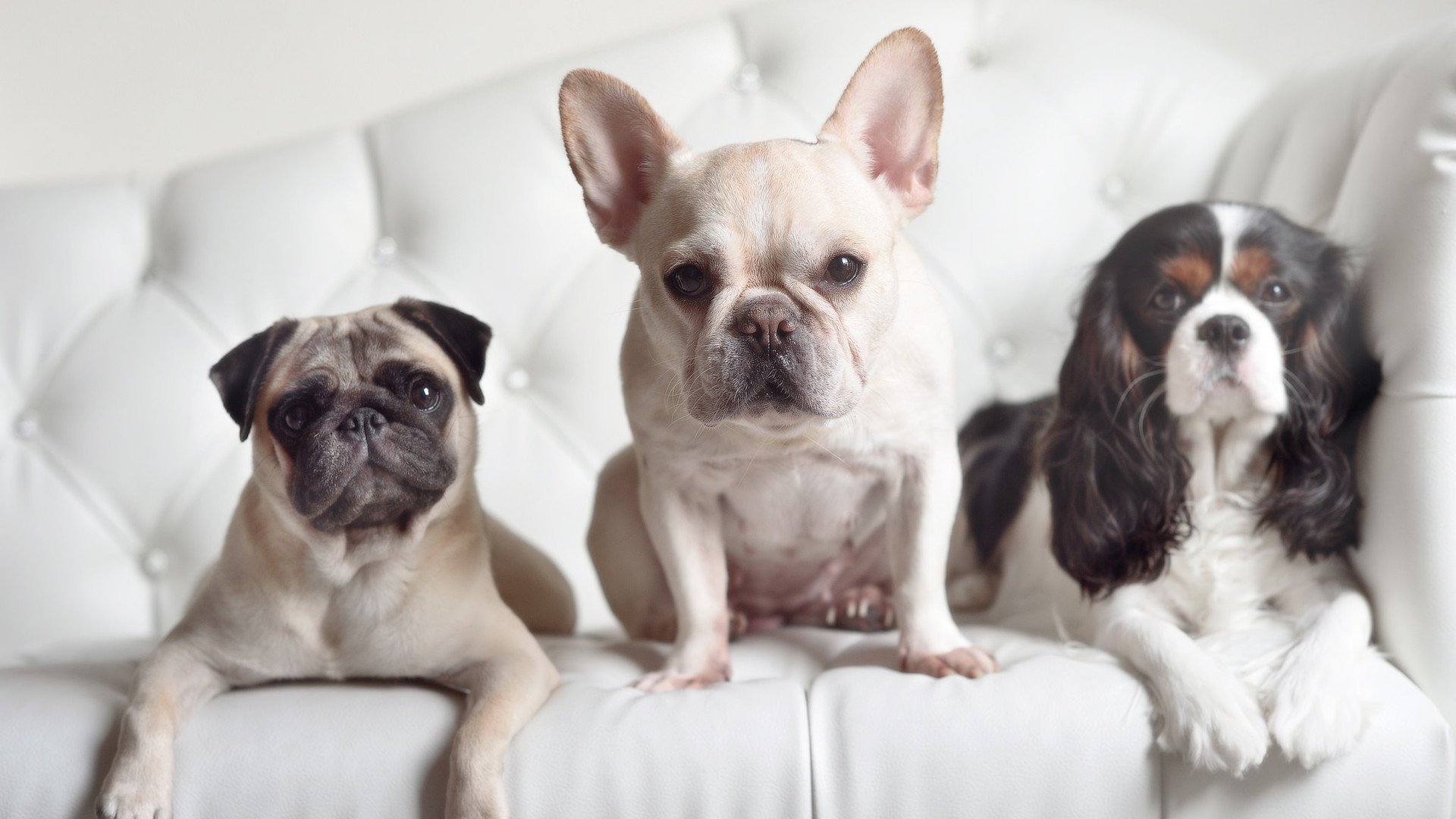 爱游戏电竞官网-中国香港队赛制创新：如何通过新规则提升整体作战能力，香港队再添一枚金牌