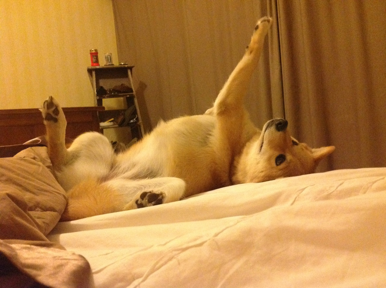 国际热身赛中国足球战平 球迷分析攻防转换,国足敲定热身赛对手