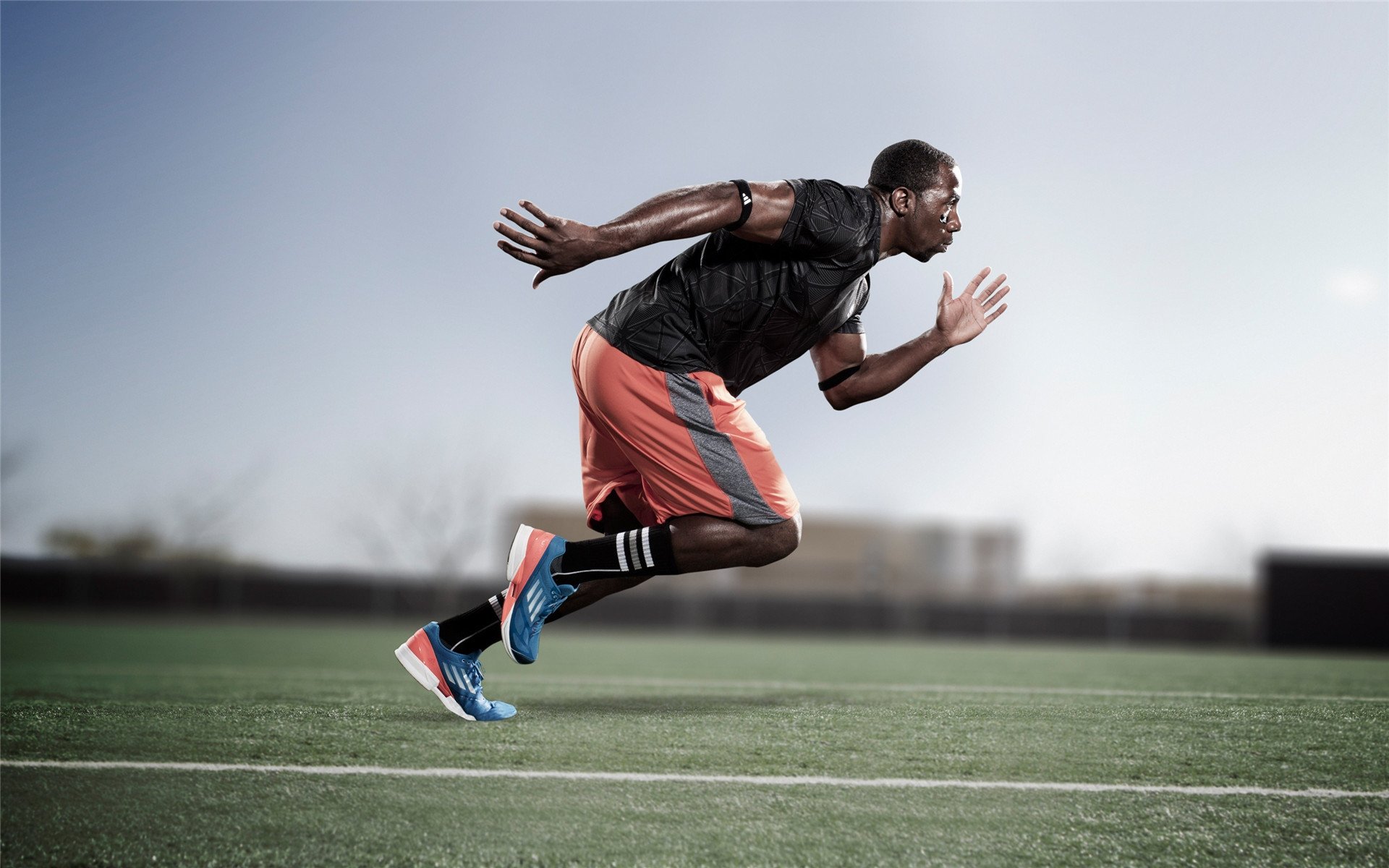 篮网新援融入迅速表现抢眼，篮网新签